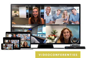 Videoconferenties